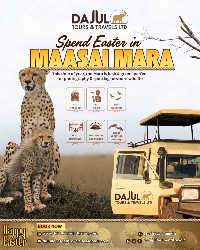 maasai mara