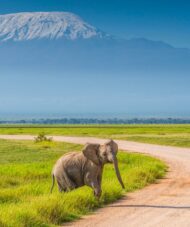 amboseli national park